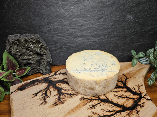 Fourme de Montbrison 1Kg
