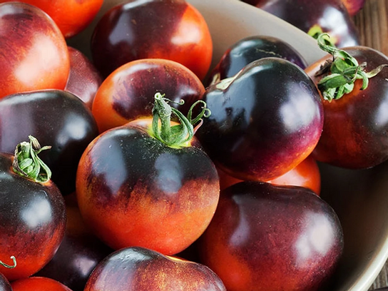 Tomates Bleues