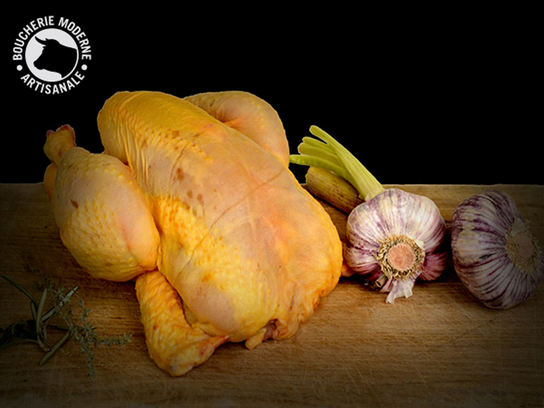 Poulette de Monsieur Dumas - 1,6 kg