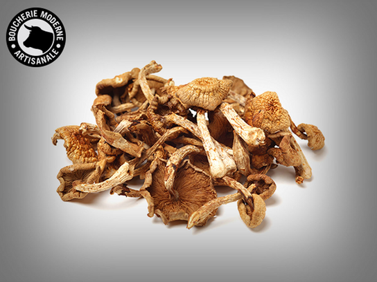 Cèpes séchés - 50 g