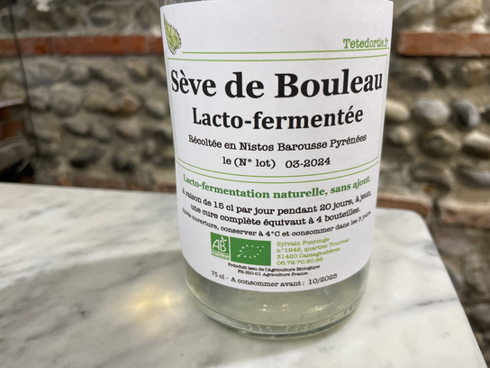 Sève de bouleau