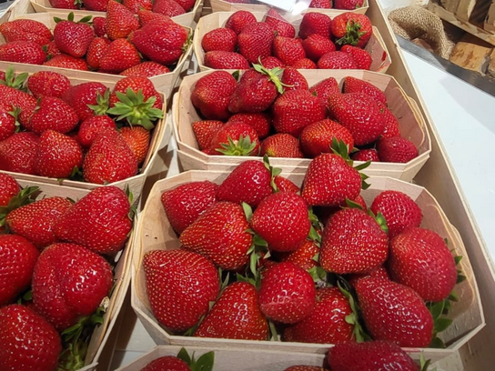 Fraise Charlotte 500 gr