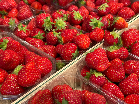Fraise Magnum