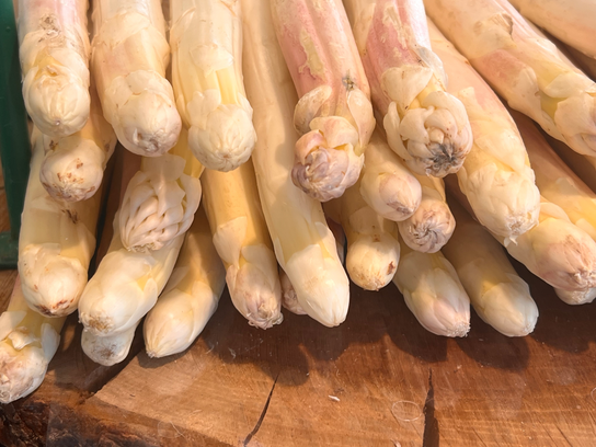 Asperge blanche PROMO
