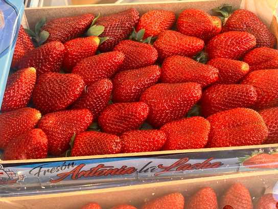FRAISE Espagne 1 kg