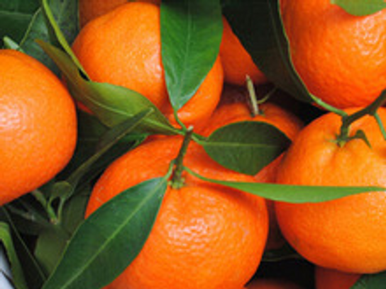 orange de Sicile