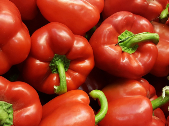 Poivron rouge BIO