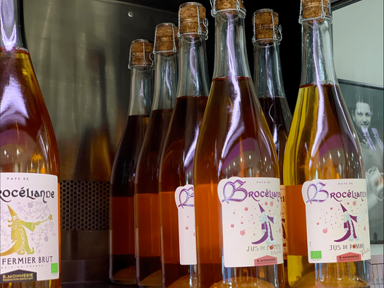 Jus de pommes de Brocéliande