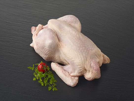 Poulet du Périgord