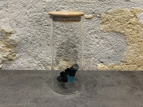 Carafe 1L + binchotan Kyuké