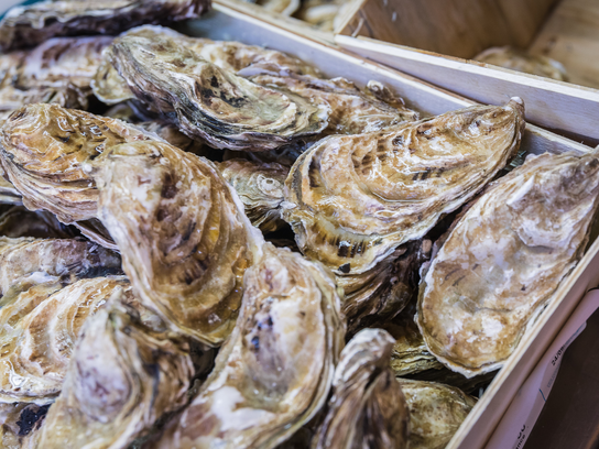 Huîtres spéciale Veules-les-Roses n°3