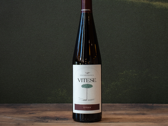 Vitese Syrah Biologico DOC