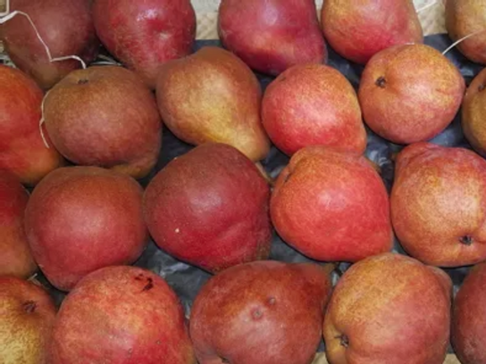 Poire Williams rouge