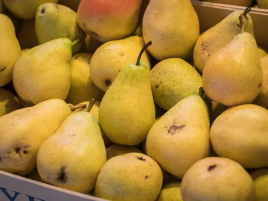 Poire Guyot
