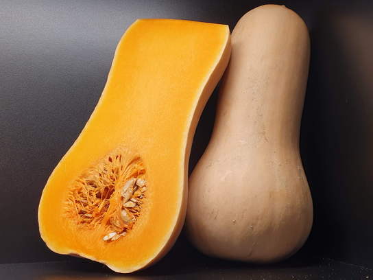 Butternut