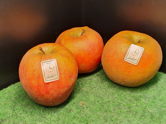 Pomme "Dorée Monselet" Le Chat