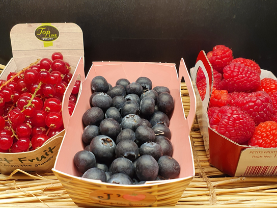 Lot de 2 petits fruits rouges ( framboise / groseille )