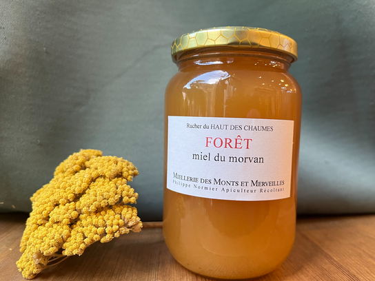 Miel de forêt - 250g