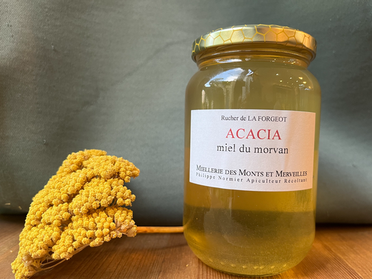 Miel d'acacia - 250g