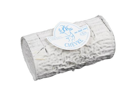 Buchette cendrée
