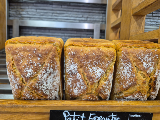 Pain petit épeautre