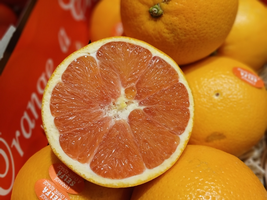 Orange Rose 'Caracara'