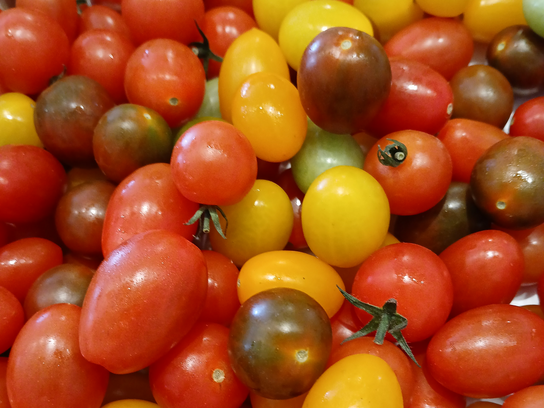 Tomates cerises Méli-Mélo