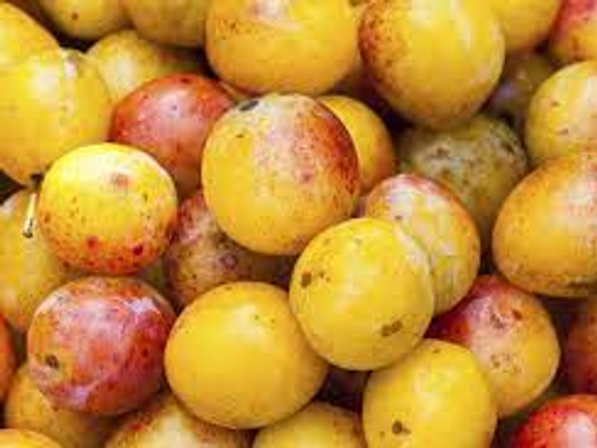 Prune Mirabelle