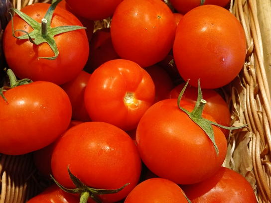 Tomates ronde