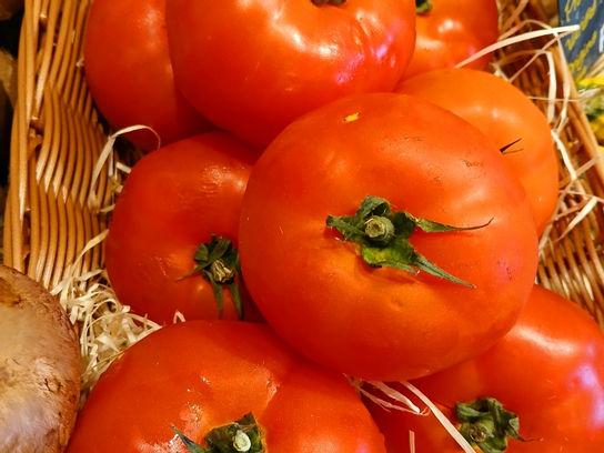 Tomates à Farcir