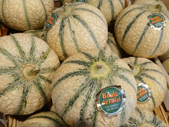 Melon Lupisol Cal 12
