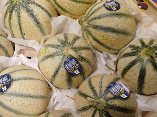 Melon cal. 15