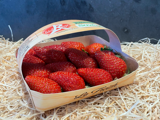 Fraise Gariguette panier 250gr cat extra