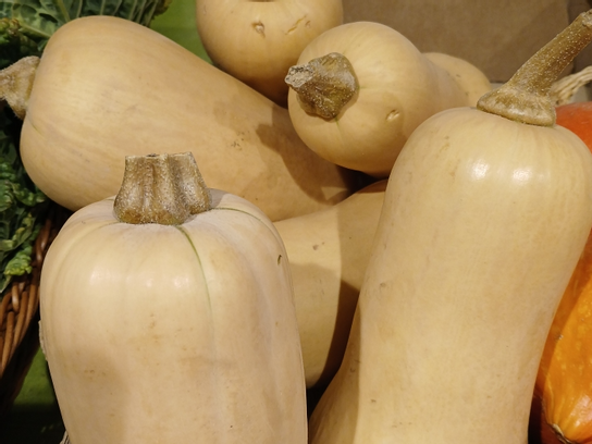 Butternut
