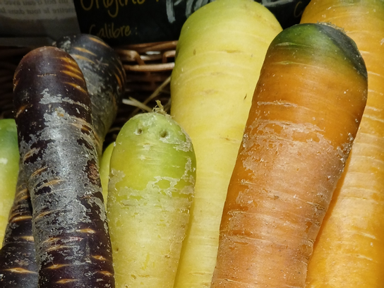 Carottes de couleur