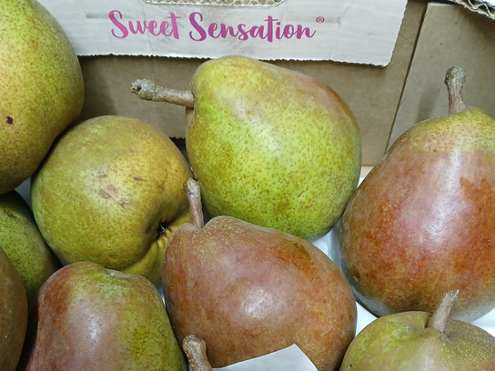Poire Sweet Sensation