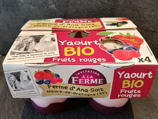 Lot de 4 yaourts fruits rouges BIO PROMO