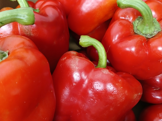 Poivron rouge