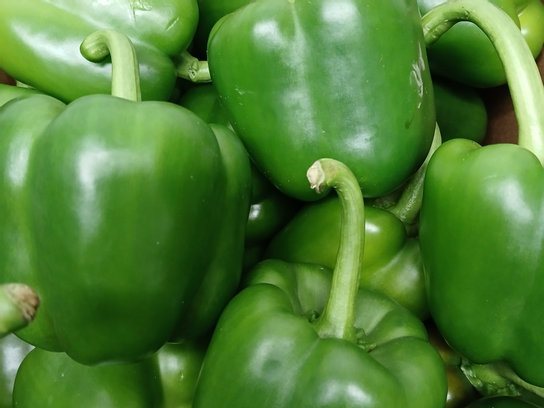 Poivron vert