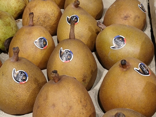 Poire Angys