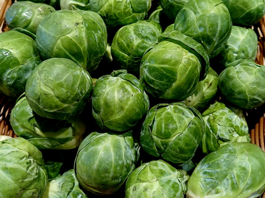 Chou de Bruxelles