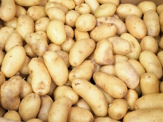 Pomme de terre grenaille