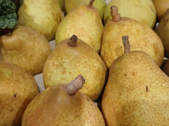 Poire Doyennée du Comice