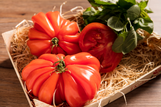 Tomates cœur de bœuf