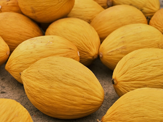 Melon Jaune
