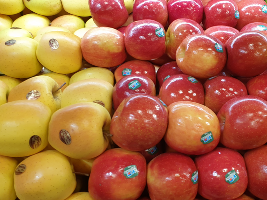 Pomme de Saison