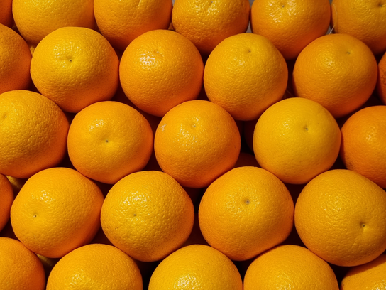 Orange à jus (500g)