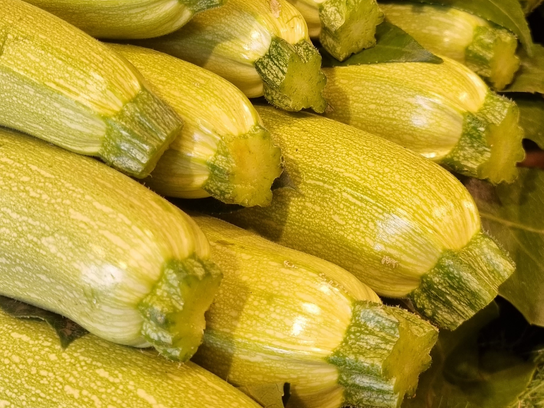 Courgette blanche