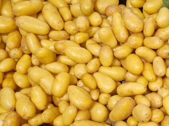 Pomme de terre délicatesse