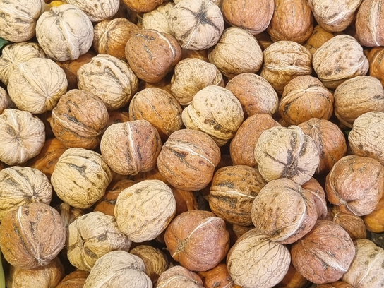 Noix fraîches
